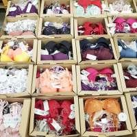 Remaining stock women's underwear, TRIUMPH bras - briefs - night underwear