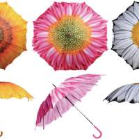 Umbrella ''flower'' 1 piece