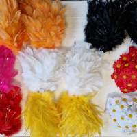 Сексуальный бюстгальтер с перьями разных цветов для карнавала