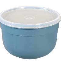 EMSA food storage container Superline Colors 2.25l blue