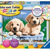 Ravensburger 278398 Paint by Numbers: Sweet Puppies